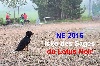 - Nationale d'Elevage  2016